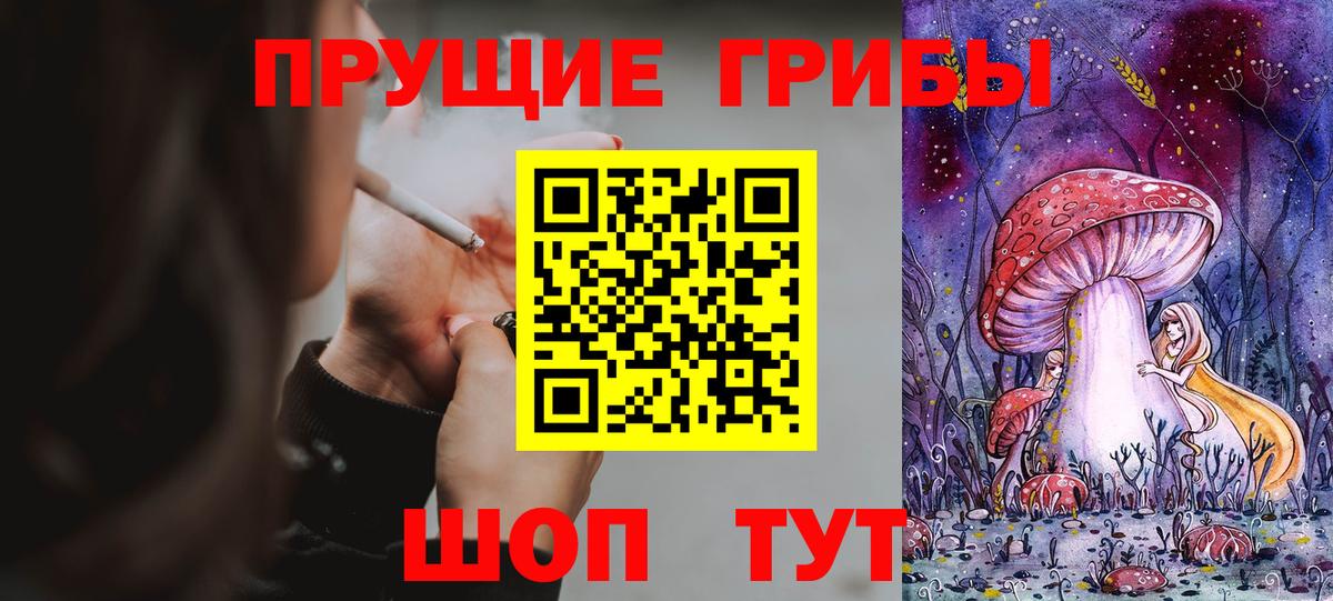 Псилоцибиновые грибы MAGIC MUSHROOMS  Псилоцибиновые грибы ЛСД  Вход с VPN  купить наркоту  Тольятти 
